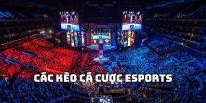Cá Cược Esports 33win - Cập Nhật Tin Tức Esports Nóng