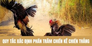 Đá Gà Cựa Dao 33win – Đấu Trường Thách Thức Mọi Đối Thủ