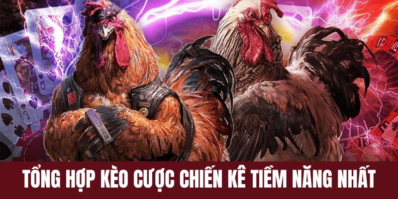 Tổng hợp từng kèo cược những chiến kê tiềm năng của nhà cái